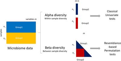 The Power of Microbiome Studies: Some Considerations on Which Alpha and Beta Metrics to Use and How to Report Results